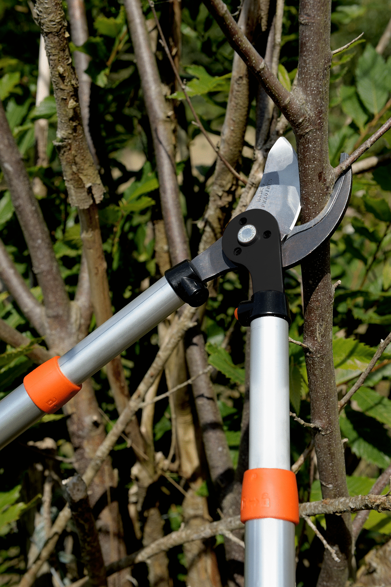 Tijeras de podar de dos manos de corte deslizante telescópicas, para expertos, de 40 mm y con mango bi-componente